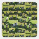 Search for fox terrier stickers Pet