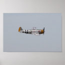 Search for thunderbolt posters Airplane