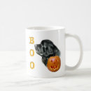 Search for newfoundland dog mugs Landseer
