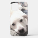 Search for chubby iphone cases Adorable