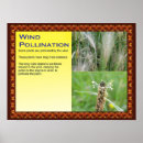 Search for science posters Educational