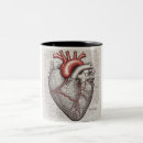 Recherche de anatomie tasses Médecin