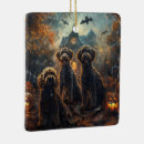 Search for bernedoodle ornaments Pet