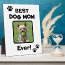 Recherche de de chien plaques Pour animaux