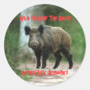 Search for wild hog stickers Hunting