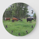 Search for pasture Livestock