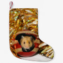 Search for hamster christmas stockings Xmas