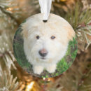 Search for mixed breed dog ornaments Animal