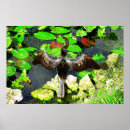Search for anhingas posters Florida