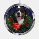 Search for swiss ornaments Greater swiss mountain dog