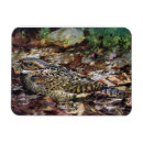 Recherche de cacher magnete Caché