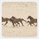 Search for colts stickers Horse