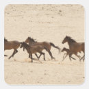 Search for colt stickers Horse