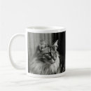 Search for norwegian forest cat mugs Feline