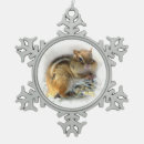 Search for chipmunk ornaments Wildlife