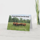 Search for group birthday cards Gang