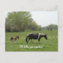 Search for love horses postcards Equine