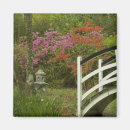 Recherche de rhododendron magnets Jardin