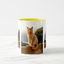 Recherche de merlin tasses Chat