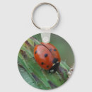 Search for bug keychains Wildlife