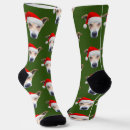 Search for mens socks Pet