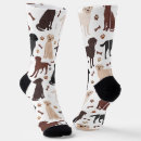 Search for labrador retriever socks Pattern