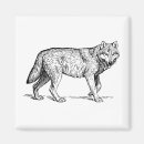 Search for drawing ink magnets Nature