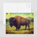 Search for yellowstone bison postcards Vacation