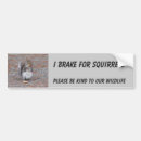 Search for squirrel bumper stickers Rodents