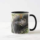 Recherche de gorilles tasses Silverback