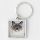 Search for cute animal keychains Feline
