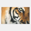 Search for 2 rectangle stickers Brown
