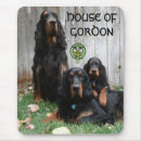 Search for flash gordon Setter