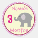 Search for baby month stickers Monthly