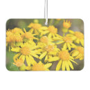 Search for daisy car air fresheners Daisies