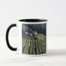 Search for tuscany mugs House