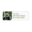 Search for gorilla return address labels Primate