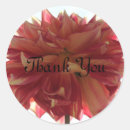 Search for red dahlia stickers Yellow