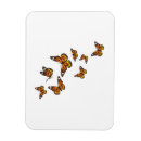 Search for monarch butterfly magnets Flying