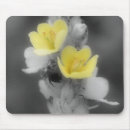 Search for beetle mousepads Photography