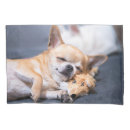 Search for chihuahua pillowcases Puppy
