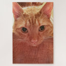 Search for cute ginger cat puzzles Kitten
