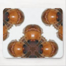 Search for june bug Bugs