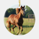 Search for chestnut horse ornaments Thoroughbred