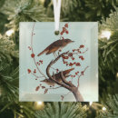 Search for audubon birds ornaments Birds of america