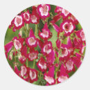 Search for snapdragons stickers Nature