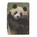 Search for panda ipad cases bamboo