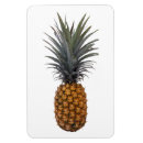 Recherche de ananas magnets Hawaii