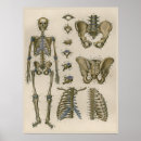 Search for 1837 posters Medical