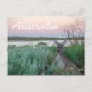 Search for it postcards Pink